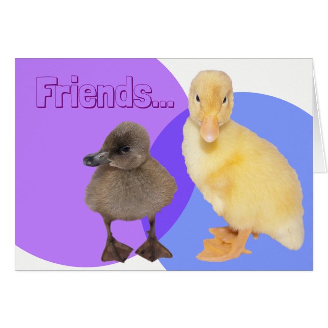 Dos lindos patitos Foto Amigos Texto personalizado (Anverso (Horizontal))