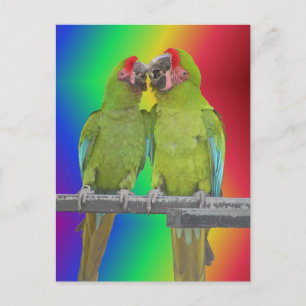 Dos loros verdes con tarjeta postal Rainbow DIY