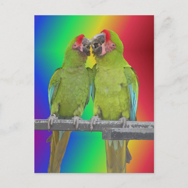 Dos loros verdes con tarjeta postal Rainbow DIY (Anverso)