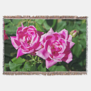 Dos mantas tejidas con rosas rosas rosas rosas