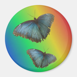 Dos mariposas morfo azules imán arco iris
