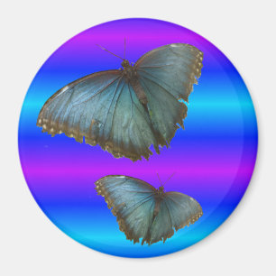 Dos mariposas morfo azules imán neón azul