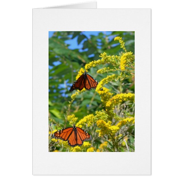 Dos monarcas (Frente)