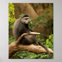 Dos monos en la impresión de un lienzo de árbol