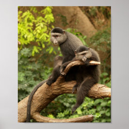 Dos monos en la impresión de un lienzo de árbol