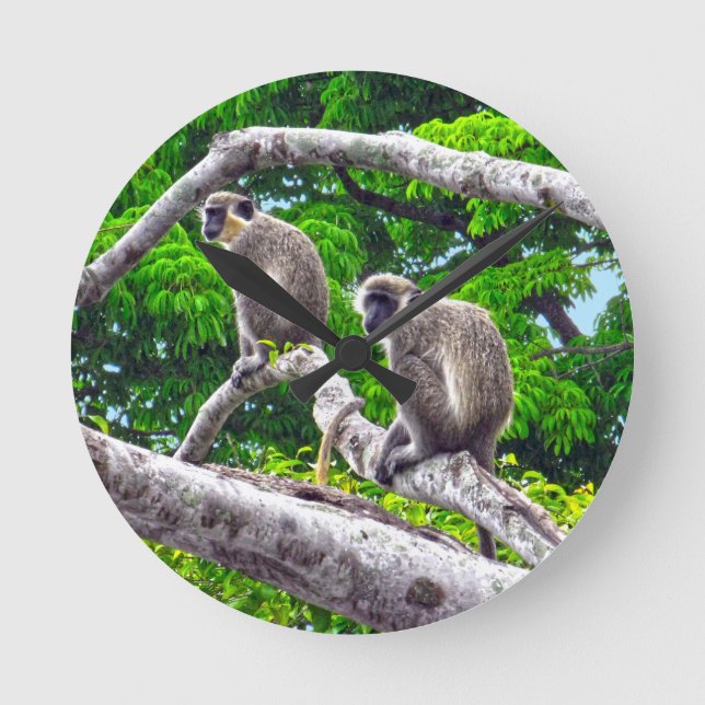 Dos monos verdes sentados en el reloj de impresión (Anverso)