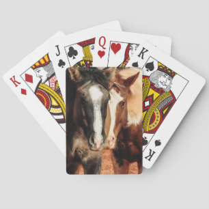 Dos naipes de los caballos