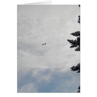 Dos pájaros que vuelan arriba