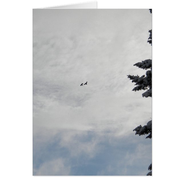 Dos pájaros que vuelan arriba (Frente)