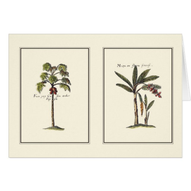 Dos palmeras enmarcadas en miniatura (Anverso (Horizontal))
