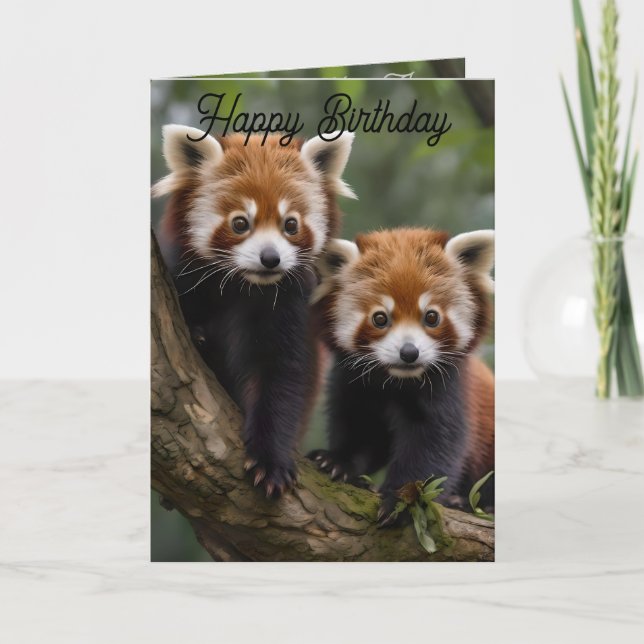 Dos Pandas Rojos Bebés, Tarjeta de Cumpleaños (Anverso)