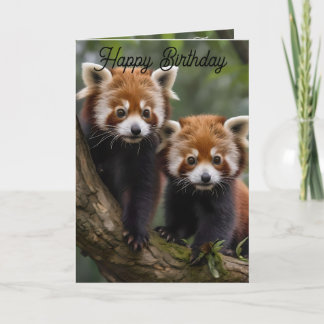 Dos Pandas Rojos Bebés, Tarjeta de Cumpleaños