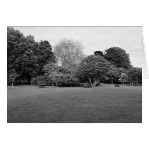 Dos para la alegría