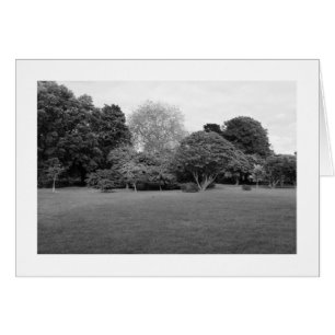 Dos para la alegría (bordeado)