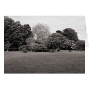 Dos para la alegría (BW con tonos cálidos)