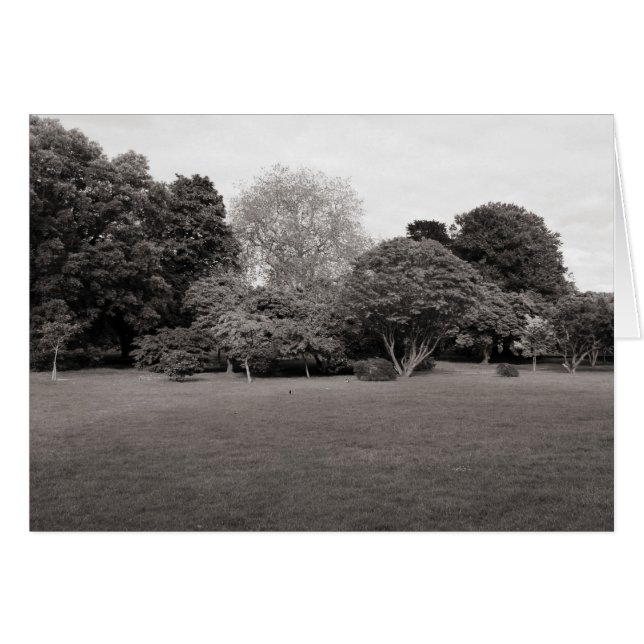 Dos para la alegría (BW con tonos cálidos) (Anverso (Horizontal))