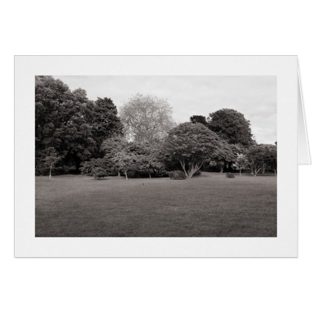 Dos para la alegría (BW en tonos cálidos bordeado) (Anverso (Horizontal))