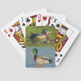 Dos patos en una cubierta de naipes