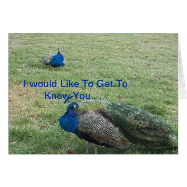 DOS PAVOS REALES HERMOSOS (Anverso (Horizontal))