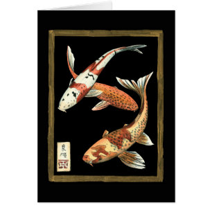 Dos peces de colores japoneses Koi con fondo negro