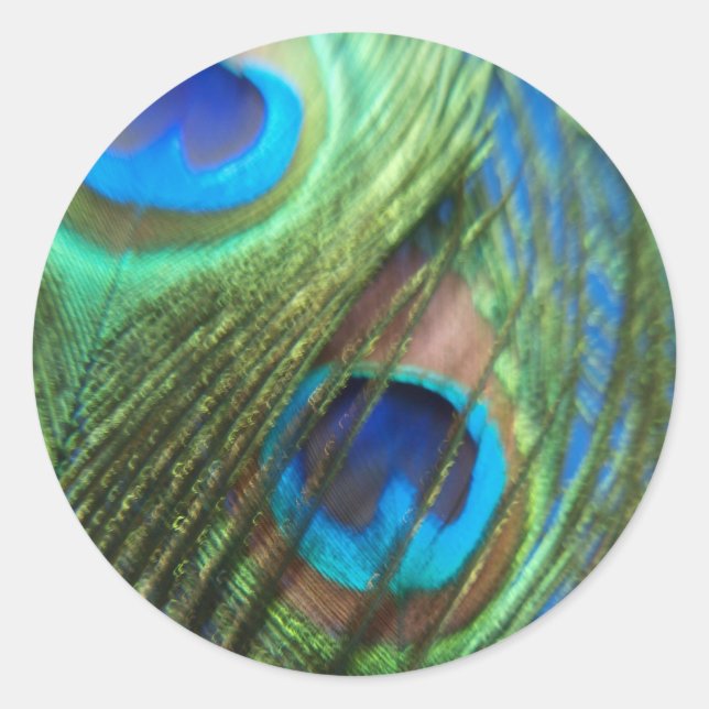 Dos Pegatinas de plumas de pavo real azul (Anverso)