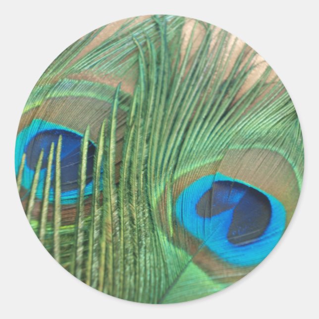 Dos Pegatinas de plumas de pavo real dorado (Anverso)