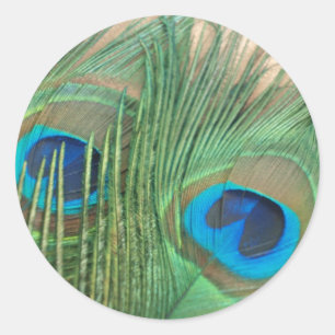 Dos Pegatinas de plumas de pavo real dorado