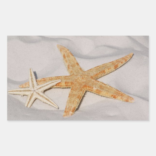 Dos Pegatinas rectangulares Starfish (Anverso)