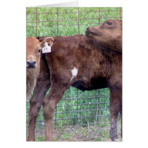 Dos pequeñas alturas