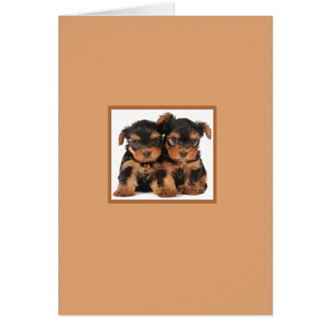 Dos perritos (Frente)