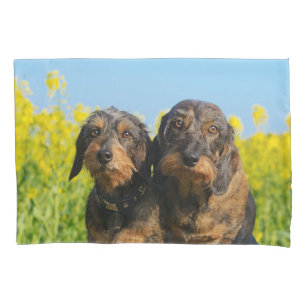 Dos Perros Dachshund Cubierta de almohada de la fo