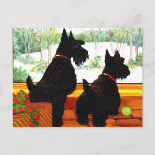 Dos perros de Scotty en el navidad