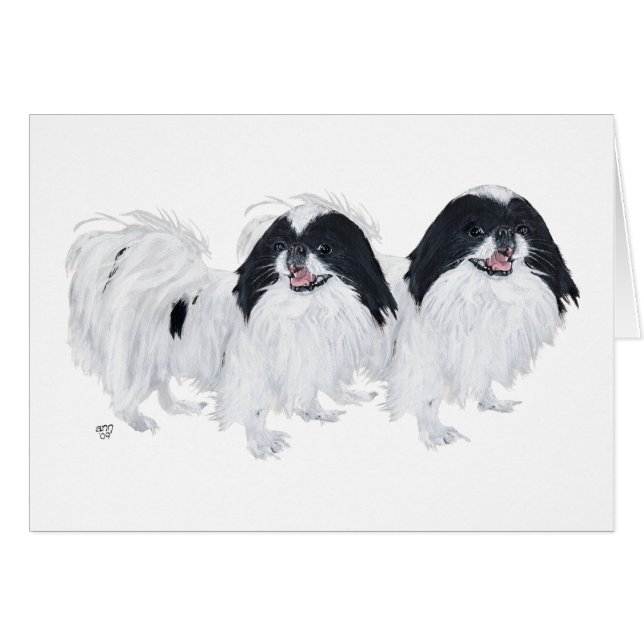 Dos perros Japanese Chin (Anverso (Horizontal))