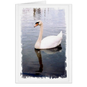 Dos pestañas duraderas