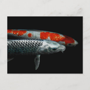 Dos postales de pescado