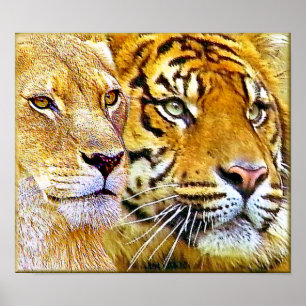 Dos Posters focalizados