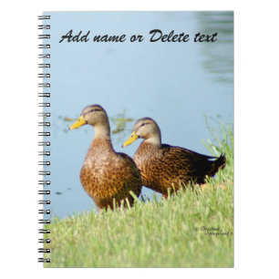 Dos preciosos cuaderno de patines