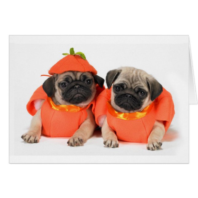 Dos Pugs (Anverso (Horizontal))