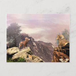 Dos Rams en la postal del país alto