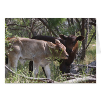 Dos Recienes nacidos en la granja