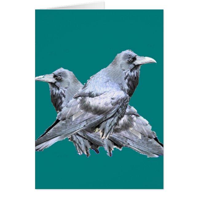 Dos regalos verde azulados de Ravens (Frente)