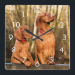 Dos reloj de pared de perros dorados Vizsla Rust<br><div class="desc">2 reloj de pared de perros Vizsla de color dorado / rojizo</div>