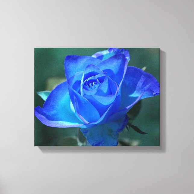 Dos Rosas Azules Tone Lienzo Envuelto (Anverso)