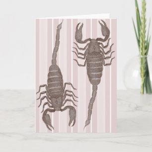 Dos Scorpions - Tarjeta de cumpleaños para Scorpio