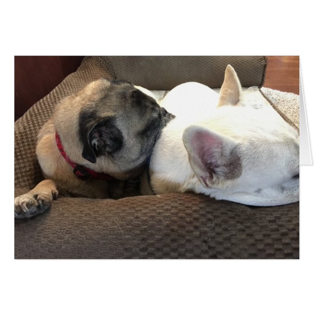 Dos son mejores que uno. (Anverso (Horizontal))