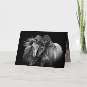 Dos Stallions andaluces - Tarjeta de saludo a caba