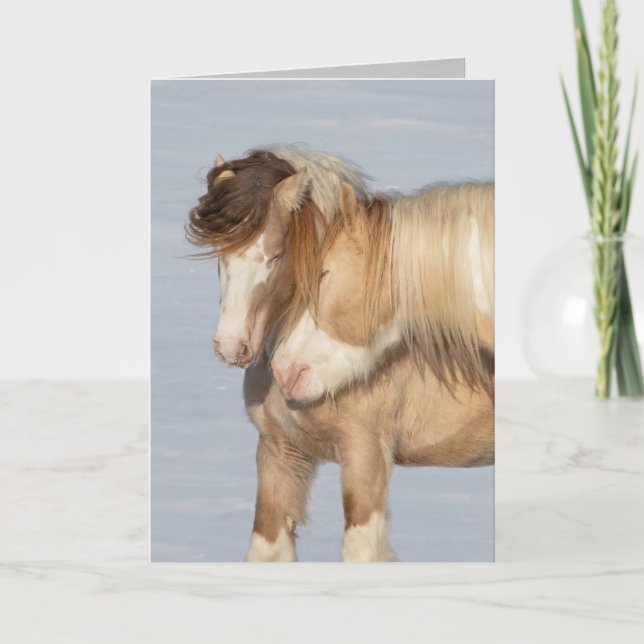 Dos Stallions gitanos - Tarjeta de saludo (Anverso)