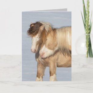 Dos Stallions gitanos - Tarjeta de saludo