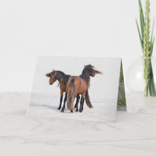 Dos Stallions Sables FlowManes - Tarjeta de felici