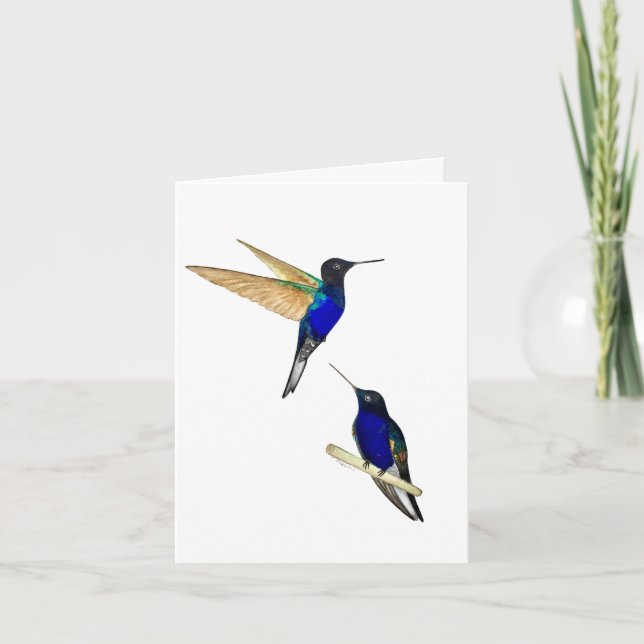 Dos tarjetas de felicitación Coronet Hummingbirds (Anverso)
